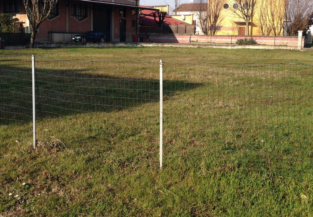 terreni-in-vendita-terreni-agricoli-in-vendita_4